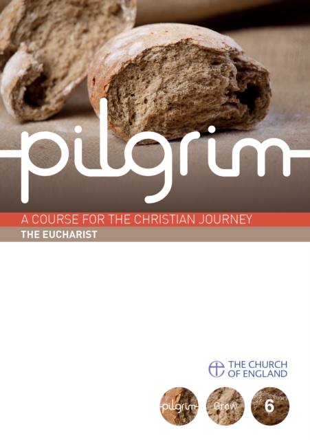 Pilgrim : Book 6 (Grow Stage), Paperback / softback Book