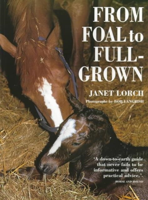 From Foal to Full-grown, Paperback / softback Book