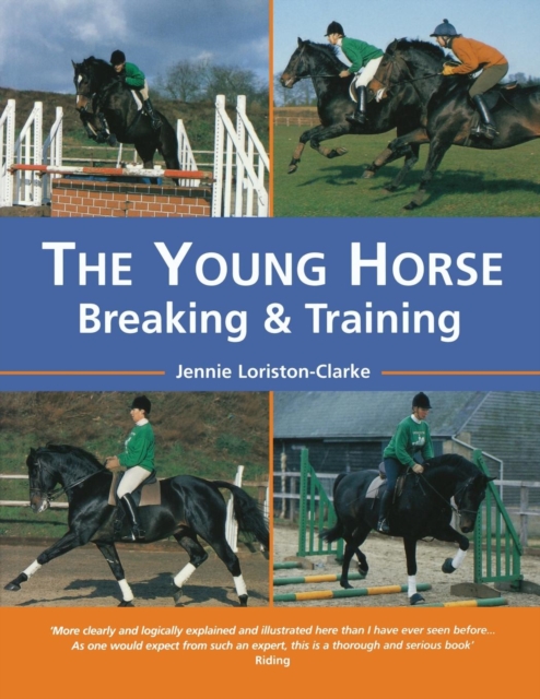 The Young Horse : Breaking and Training, Paperback / softback Book
