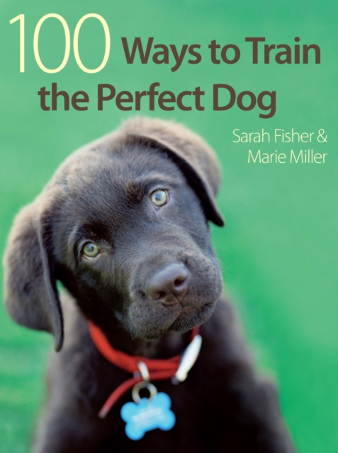 100 Ways to Train the Perfect Dog, Paperback / softback Book