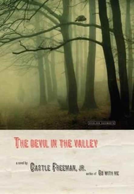 The Devil in the Valley, Paperback / softback Book