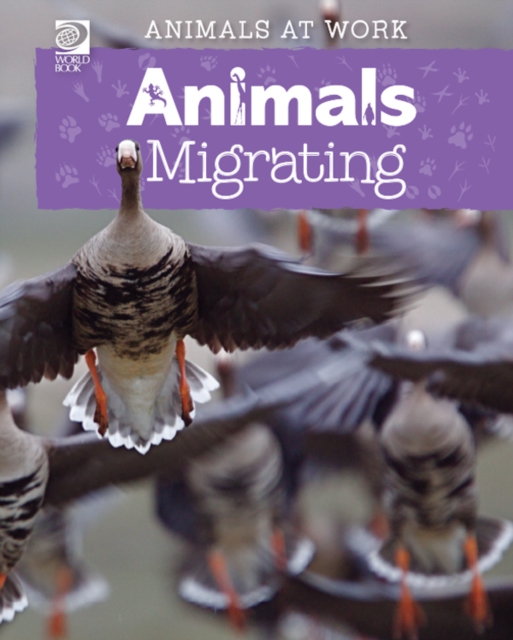 Animals Migrating, PDF eBook