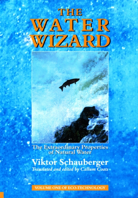The Water Wizard - The Extraordinary Properties of Natural Water, EPUB eBook