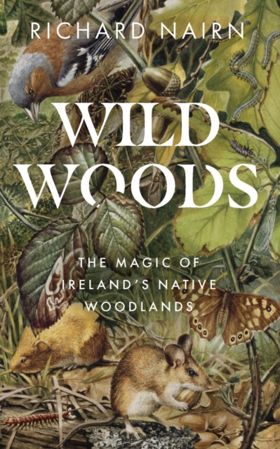 Wildwoods : The Magic of Ireland’s Native Woodlands, Paperback / softback Book