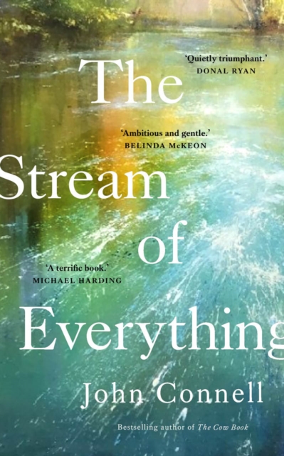 The Stream of Everything, Hardback Book