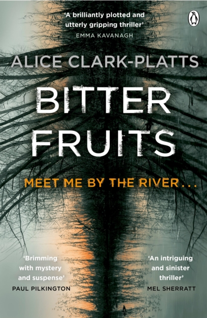 Bitter Fruits : DI Erica Martin Book 1, Paperback / softback Book