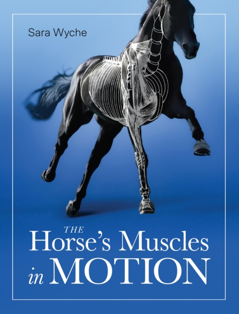 Horse's Muscles in Motion, EPUB eBook