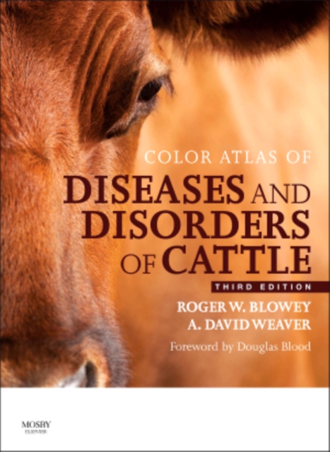 Color Atlas of Diseases and Disorders of Cattle : Color Atlas of Diseases and Disorders of Cattle, Hardback Book