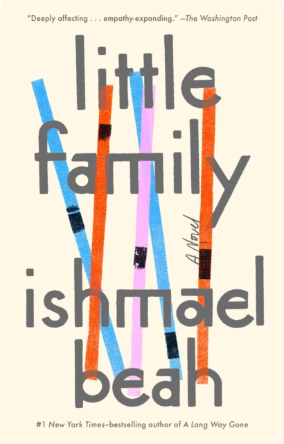 Little Family : A Novel, Paperback / softback Book