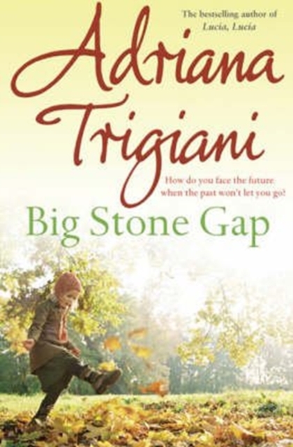 Big Stone Gap, Paperback / softback Book