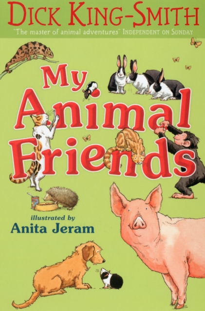 My Animal Friends, Paperback / softback Book
