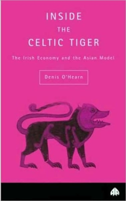 Inside the Celtic Tiger, Paperback / softback Book