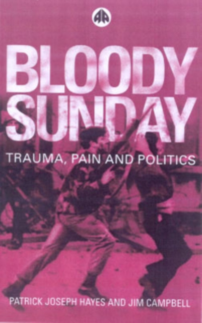 Bloody Sunday : Trauma, Pain & Politics, Hardback Book