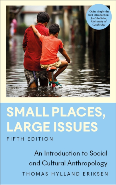 Small Places, Large Issues : An Introduction to Social and Cultural Anthropology, EPUB eBook