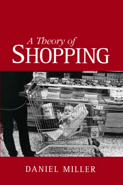 A Theory of Shopping, Paperback / softback Book