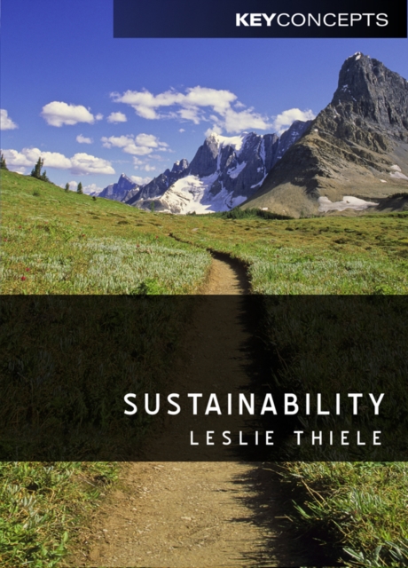 Sustainability, Paperback Book
