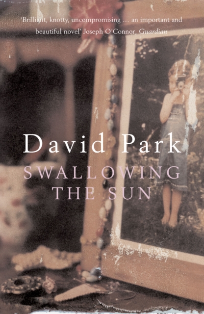 Swallowing the Sun, Paperback Book