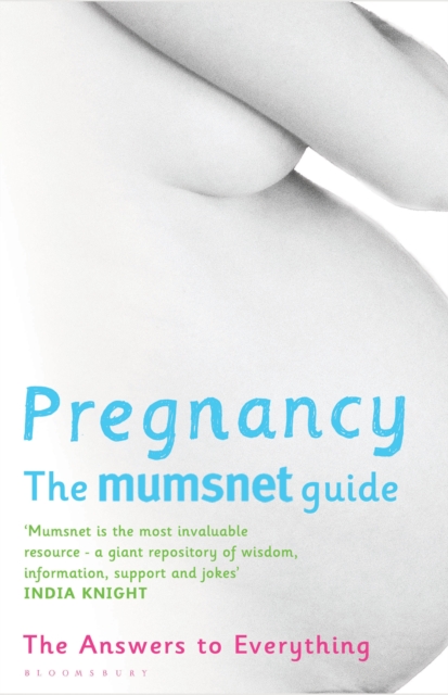 Pregnancy: The Mumsnet Guide : The Answers to Everything, Paperback / softback Book