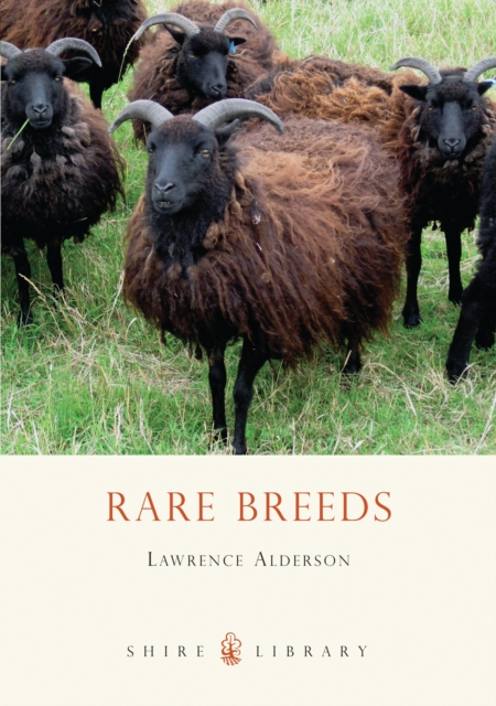 Rare Breeds, Paperback / softback Book