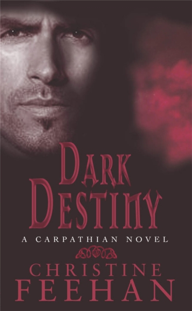 Dark Destiny : Number 13 in series, Paperback / softback Book