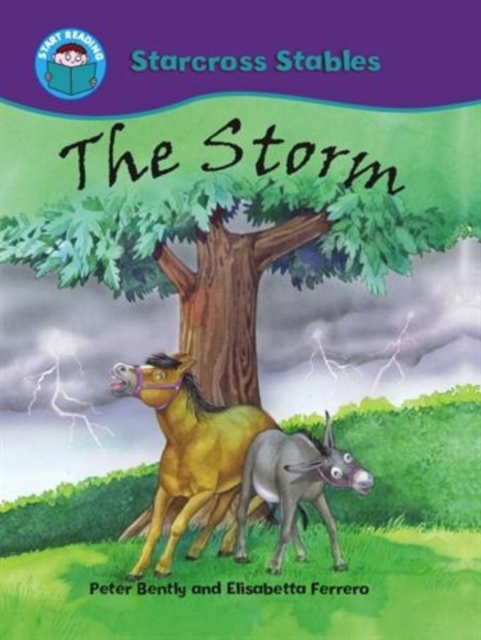 The Storm, Paperback Book