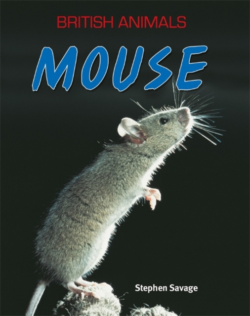 British Animals: Mouse, Paperback Book