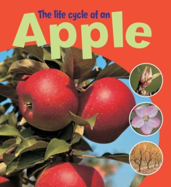 The Life Cycle of an Apple, Paperback Book