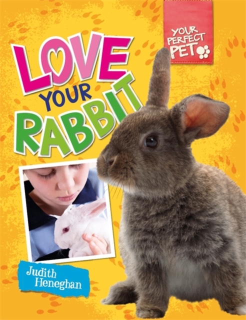 Your Perfect Pet: Love Your Rabbit, Paperback Book