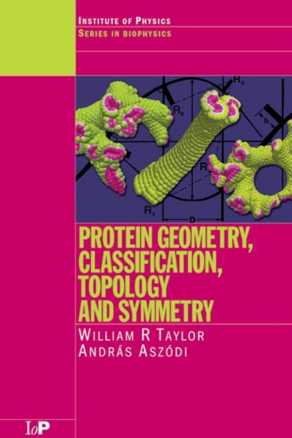 Protein Geometry, Classification, Topology and Symmetry : A Computational Analysis of Structure, Hardback Book