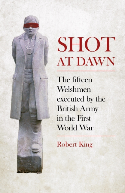 Shot at Dawn : The Fifteen Welshmen Executed by the British Army in the First World War, Paperback / softback Book