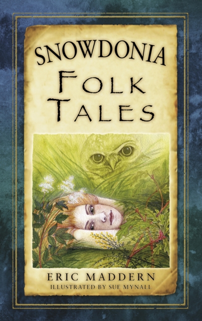 Snowdonia Folk Tales, EPUB eBook