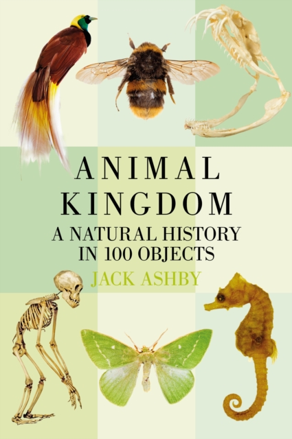 Animal Kingdom : A Natural History in 100 Objects, Paperback / softback Book