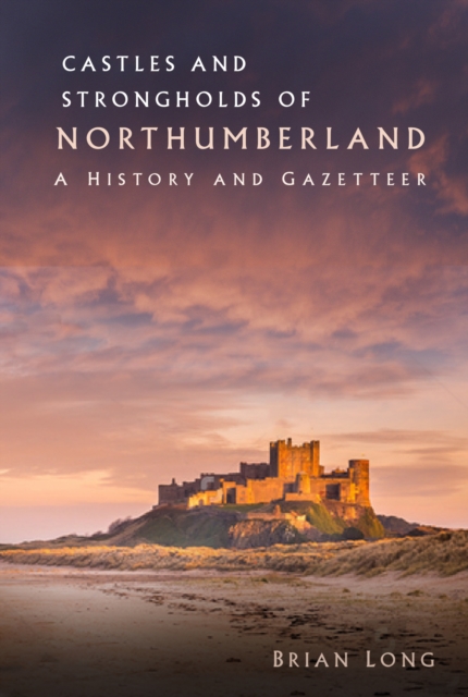 Castles and Strongholds of Northumberland : A History and Gazetteer, Paperback / softback Book