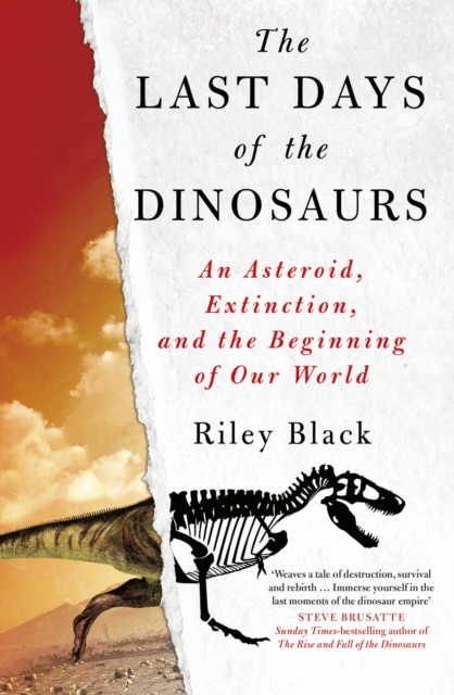 The Last Days of the Dinosaurs : An Asteroid, Extinction and the Beginning of Our World, Hardback Book