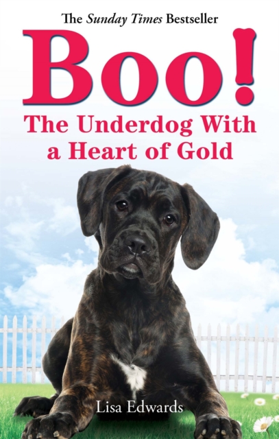 Boo! : The Underdog With a Heart of Gold, Paperback / softback Book