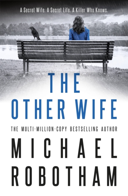The Other Wife, Hardback Book
