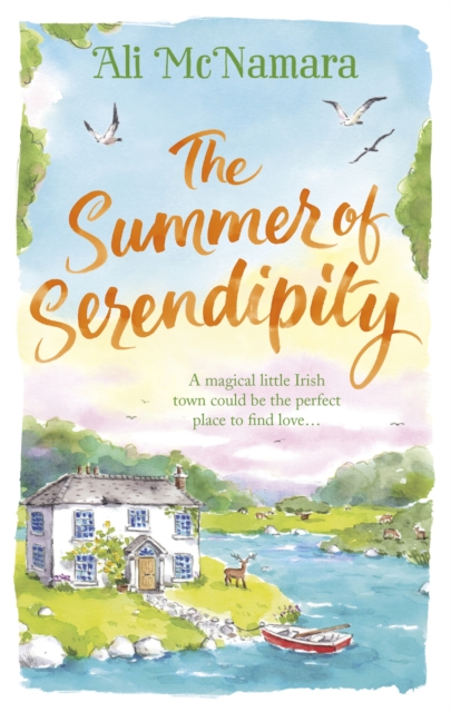 The Summer of Serendipity : The magical feel good perfect holiday read, Paperback / softback Book