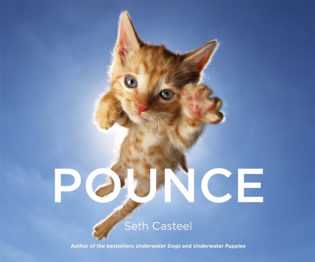 Pounce, Hardback Book