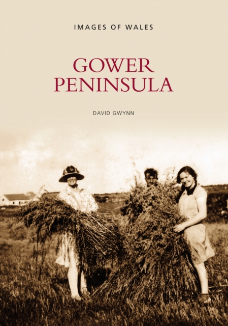 Gower Peninsula : Images of Wales, Paperback / softback Book