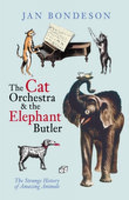 Cat Orchestra and the Elephant Butler, Paperback / softback Book