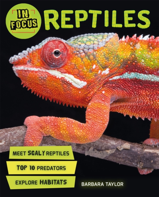 In Focus: Reptiles, Paperback / softback Book