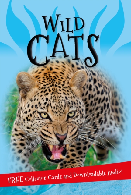 It's all about... Wild Cats, Paperback / softback Book