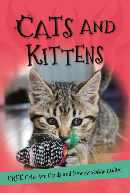 It's all about... Cats and Kittens, Paperback / softback Book