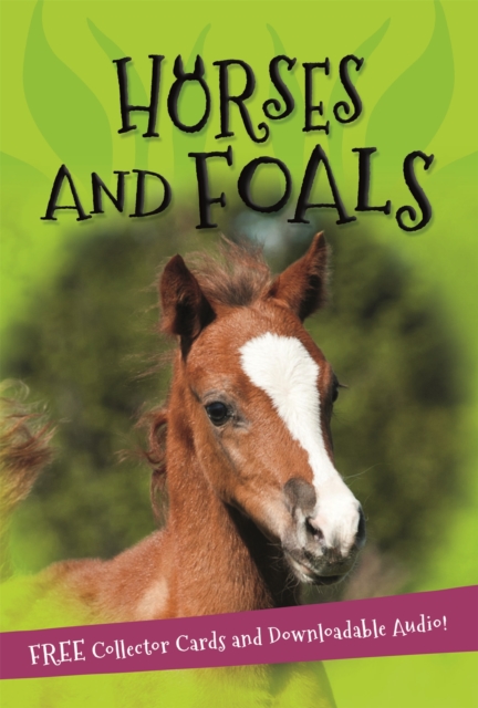 It's all about... Horses and Foals, Paperback / softback Book