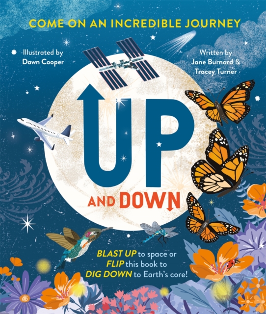 Up and Down, Hardback Book