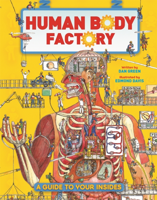The Human Body Factory : A Guide To Your Insides, Paperback / softback Book