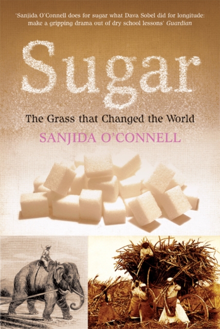 Sugar : The Grass that Changed the World, Paperback / softback Book