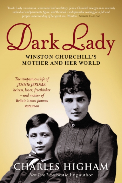 Dark Lady, Paperback / softback Book