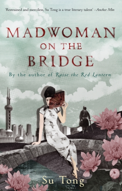 Madwoman On The Bridge And Other Stories, EPUB eBook