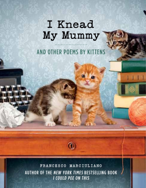 I Knead My Mummy : And Other Poems by Kittens, EPUB eBook